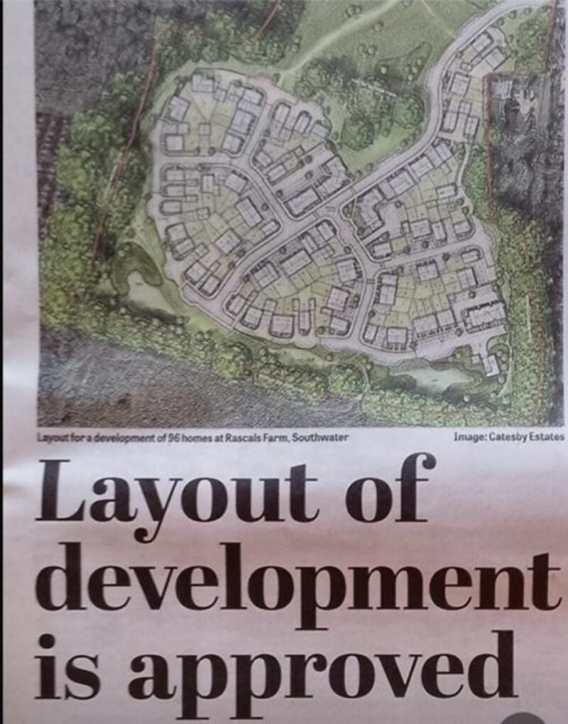 Rascals Development Plan